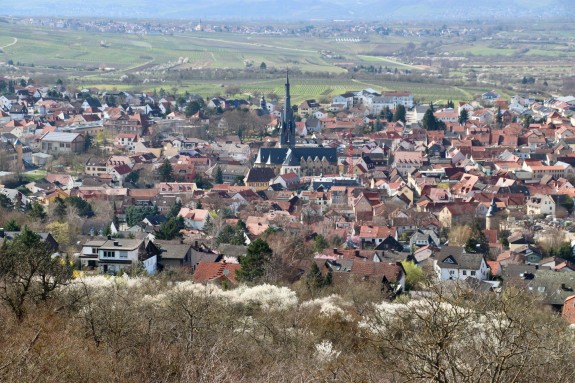 Vogelperspektive Gau-Algesheim